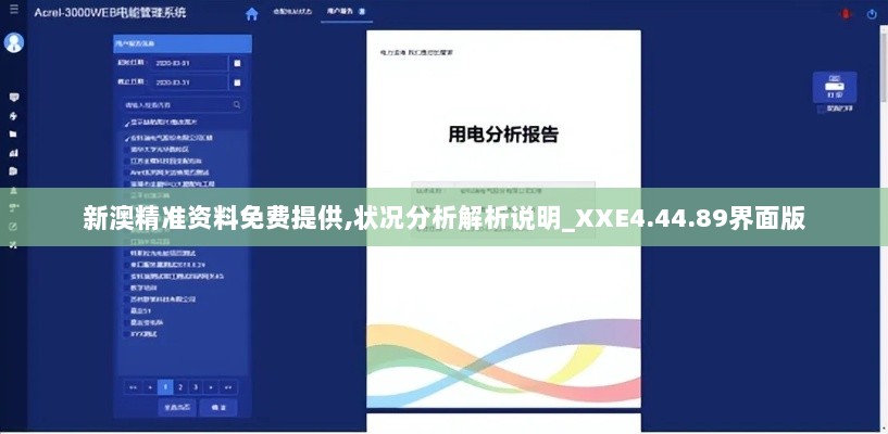 新澳精准资料免费提供,状况分析解析说明_XXE4.44.89界面版