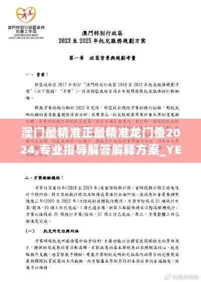 澳门最精准正最精准龙门蚕2024,专业指导解答解释方案_YEJ1.69.22美学版