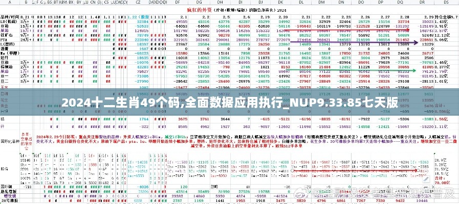 2024十二生肖49个码,全面数据应用执行_NUP9.33.85七天版