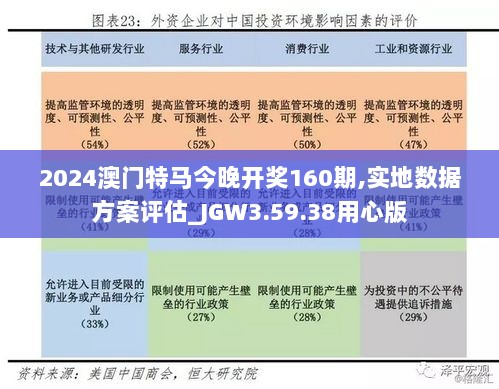 2024澳门特马今晚开奖160期,实地数据方案评估_JGW3.59.38用心版