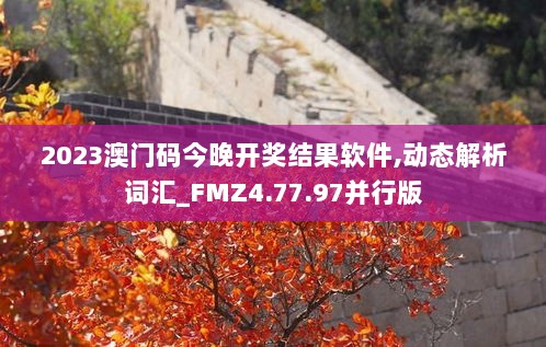 2023澳门码今晚开奖结果软件,动态解析词汇_FMZ4.77.97并行版