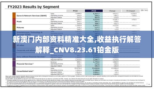 新澳门内部资料精准大全,收益执行解答解释_CNV8.23.61铂金版