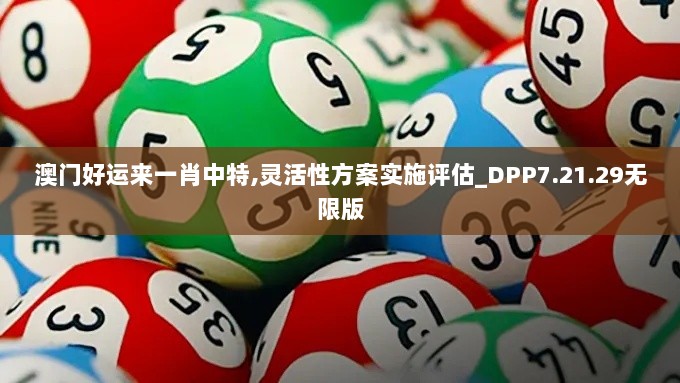 澳门好运来一肖中特,灵活性方案实施评估_DPP7.21.29无限版