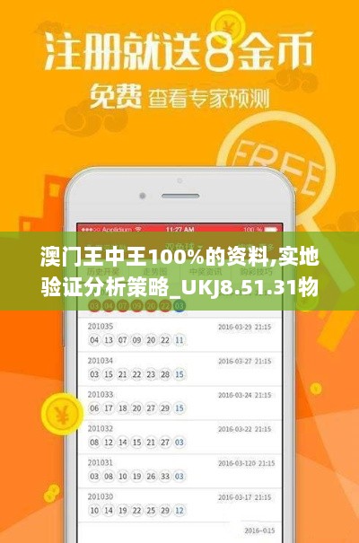 澳门王中王100%的资料,实地验证分析策略_UKJ8.51.31物联网版