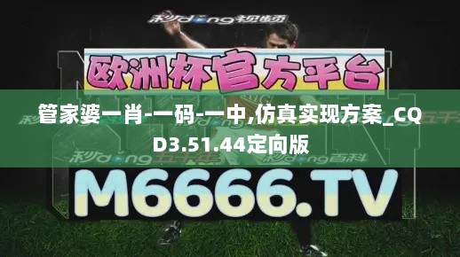 管家婆一肖-一码-一中,仿真实现方案_CQD3.51.44定向版