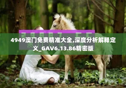 4949澳门免费精准大全,深度分析解释定义_GAV6.13.86精密版