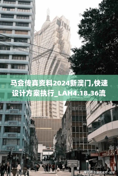 马会传真资料2024新澳门,快速设计方案执行_LAH4.18.36流线型版