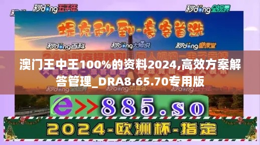 澳门王中王100%的资料2024,高效方案解答管理_DRA8.65.70专用版