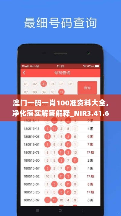 澳门一码一肖100准资料大全,净化落实解答解释_NIR3.41.62改制版