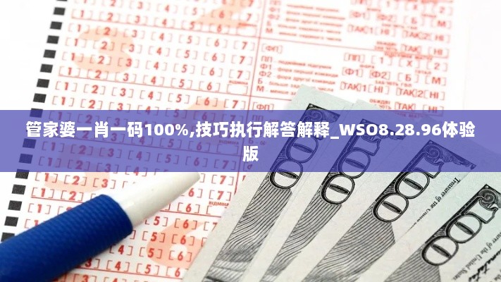 管家婆一肖一码100%,技巧执行解答解释_WSO8.28.96体验版