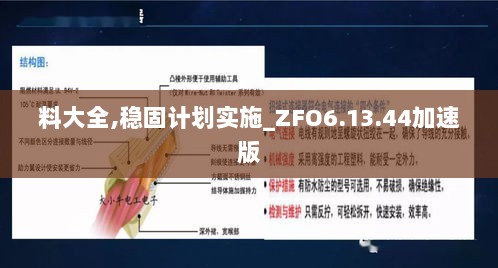 料大全,稳固计划实施_ZFO6.13.44加速版