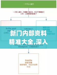 新门内部资料精准大全,深入应用数据解析_VRR8.62.81高配版