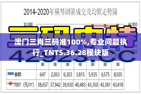 澳门三肖三码准100%,专业问题执行_TNT5.36.28模块版