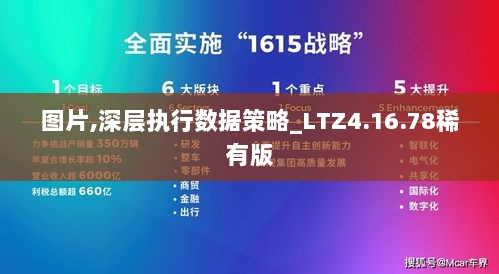 图片,深层执行数据策略_LTZ4.16.78稀有版