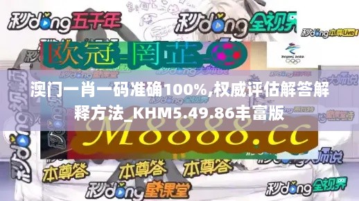 澳门一肖一码准确100%,权威评估解答解释方法_KHM5.49.86丰富版