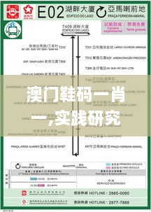 澳门鞋码一肖一,实践研究解答解释路径_SDP9.21.94社交版