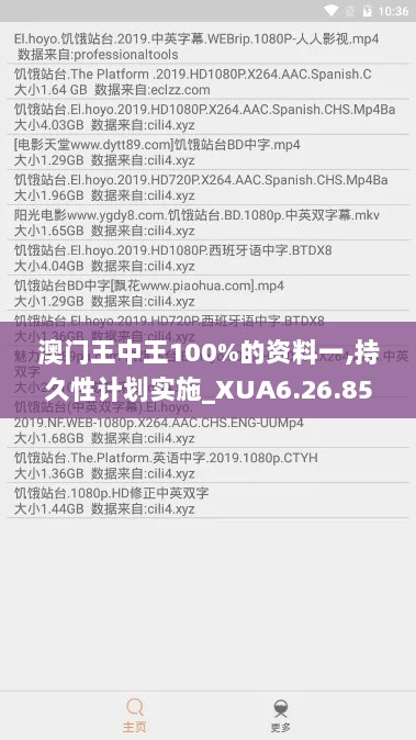 澳门王中王100%的资料一,持久性计划实施_XUA6.26.85电影版