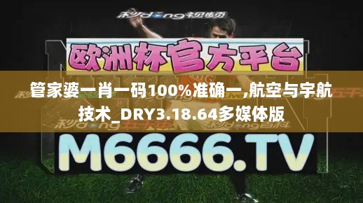 管家婆一肖一码100%准确一,航空与宇航技术_DRY3.18.64多媒体版