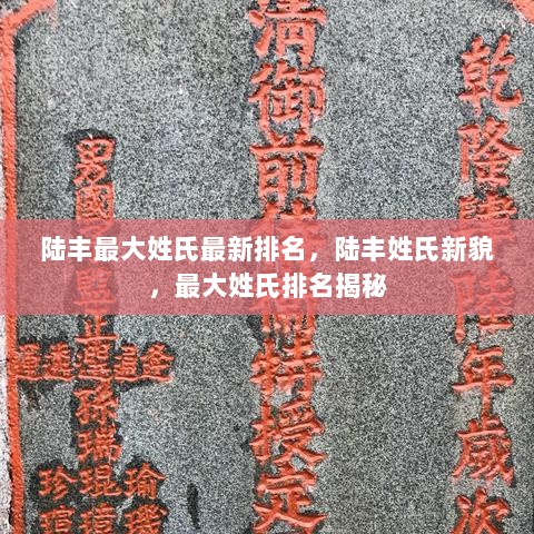 陆丰姓氏新貌，最大姓氏最新排名揭秘