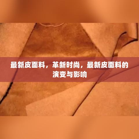 最新皮面料，革新时尚与产业影响演变分析