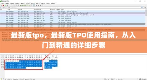 最新版TPO使用指南，从入门到精通的详细步骤解析