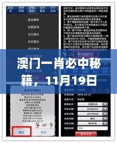 澳门一肖必中秘籍，11月19日历史解析与投资建议_DVT1.40.50版