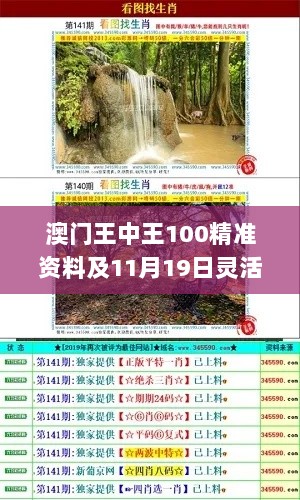 澳门王中王100精准资料及11月19日灵活操作方案_UTR2.41.97实验版