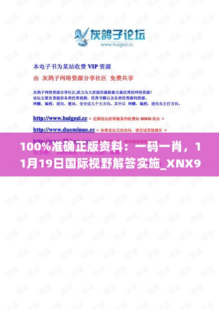 100%准确正版资料：一码一肖，11月19日国际视野解答实施_XNX9.51.66通玄境