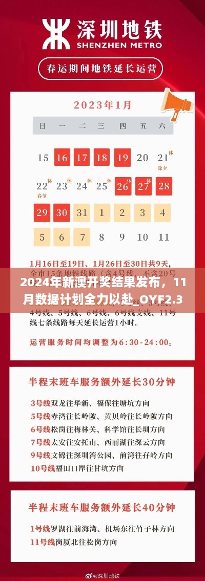 2024年新澳开奖结果发布，11月数据计划全力以赴_OYF2.32.58启天境