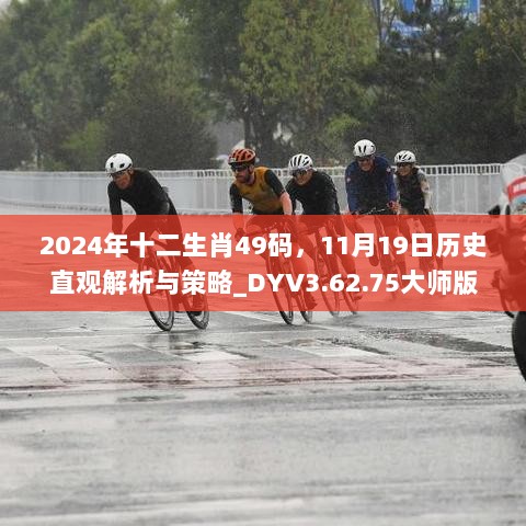 2024年十二生肖49码，11月19日历史直观解析与策略_DYV3.62.75大师版