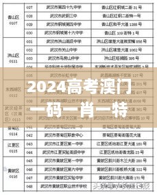 2024高考澳门一码一肖一特中，11月19日精彩解读与执行_HAN2.73.97加速版