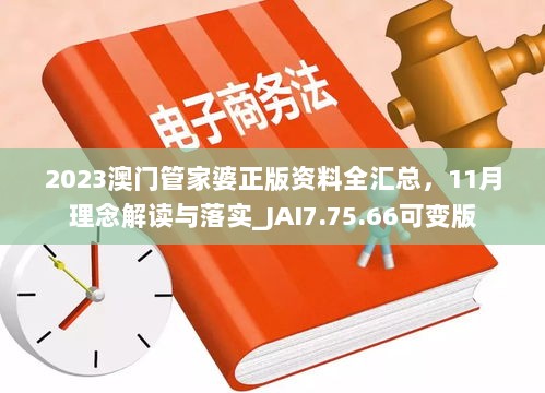 2023澳门管家婆正版资料全汇总，11月理念解读与落实_JAI7.75.66可变版