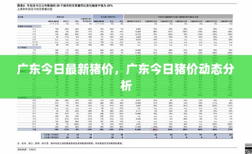 广东今日猪价动态分析