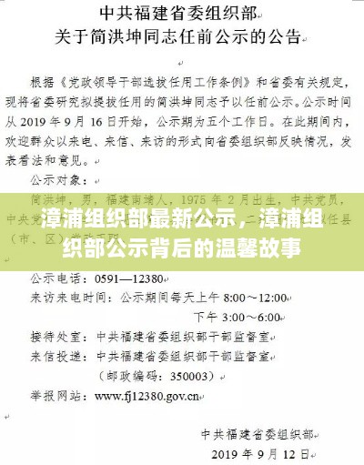 漳浦组织部最新公示，背后的温馨故事揭秘