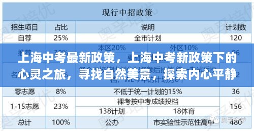 上海中考新政策下的心灵之旅，寻找自然美景，探索内心平静的旅程