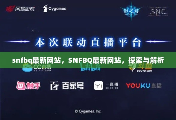 SNFBQ最新网站，探索与解析