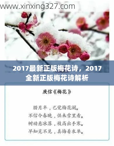 2017全新正版梅花诗解析