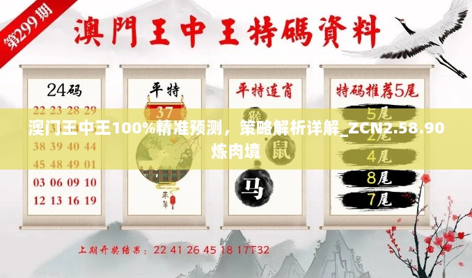 澳门王中王100%精准预测，策略解析详解_ZCN2.58.90炼肉境