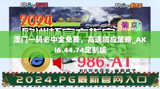 澳门一码必中全免费，高速响应策略_AKI6.44.74定制版