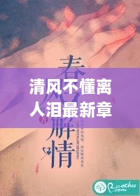 清风不解离人泪，最新章节揭秘与情感共鸣