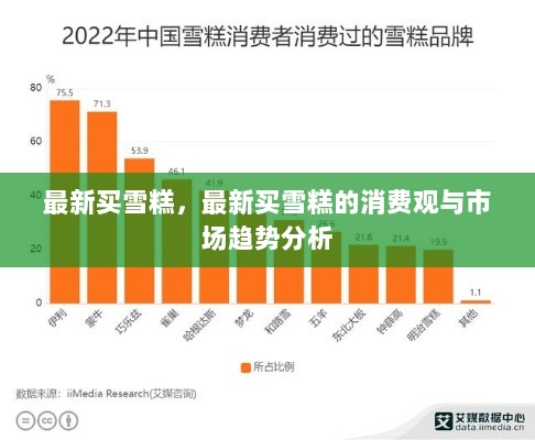 最新雪糕消费观与市场趋势分析