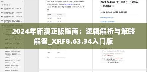 2024年新澳正版指南：逻辑解析与策略解答_XRF8.63.34入门版