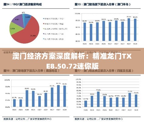 澳门经济方案深度解析：精准龙门TXE8.50.72迷你版