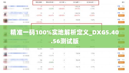 精准一码100%实地解析定义_DXG5.40.56测试版