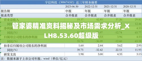 管家婆精准资料揭秘及市场需求分析_XLH8.53.60超级版