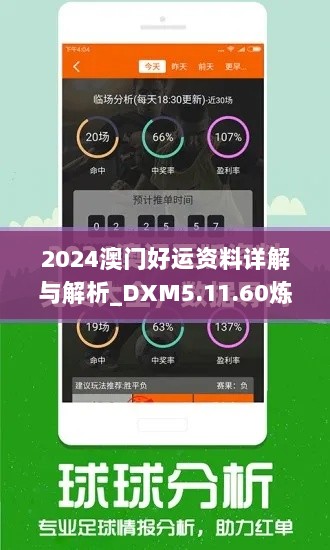 2024澳门好运资料详解与解析_DXM5.11.60炼肉境