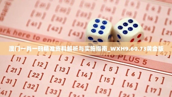 澳门一肖一码精准资料解析与实施指南_WXH9.60.73黄金版