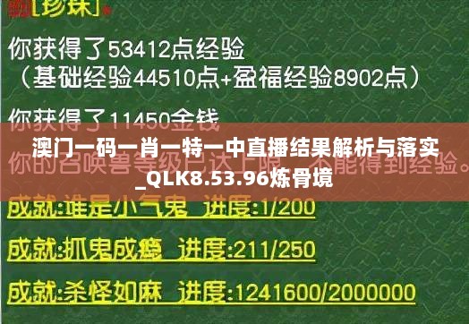 澳门一码一肖一特一中直播结果解析与落实_QLK8.53.96炼骨境