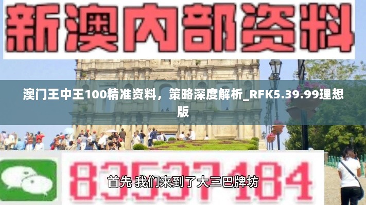 澳门王中王100精准资料，策略深度解析_RFK5.39.99理想版