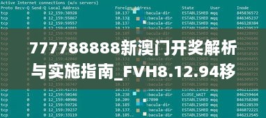 777788888新澳门开奖解析与实施指南_FVH8.12.94移动版